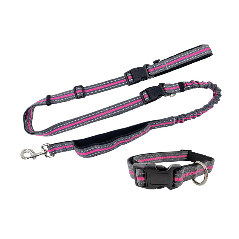 Double Handles Dog Leash para sa Control Safety Training