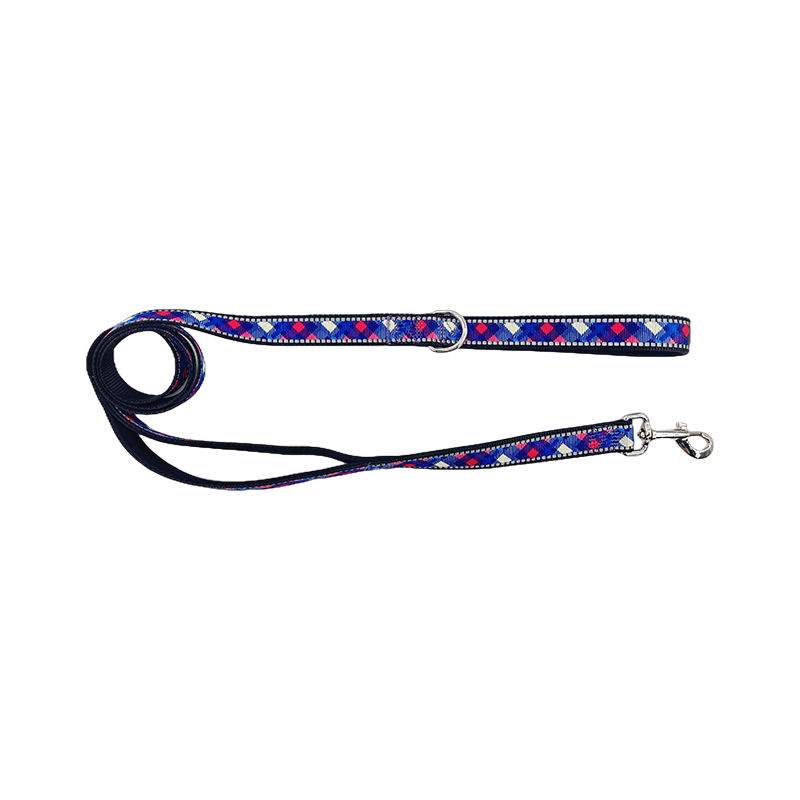 Dog Reflective Leads With Strong Padded Handle para sa Walking Running